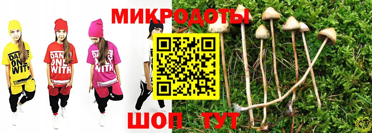 Галлюциногенные грибы MAGIC MUSHROOMS Ставрополь